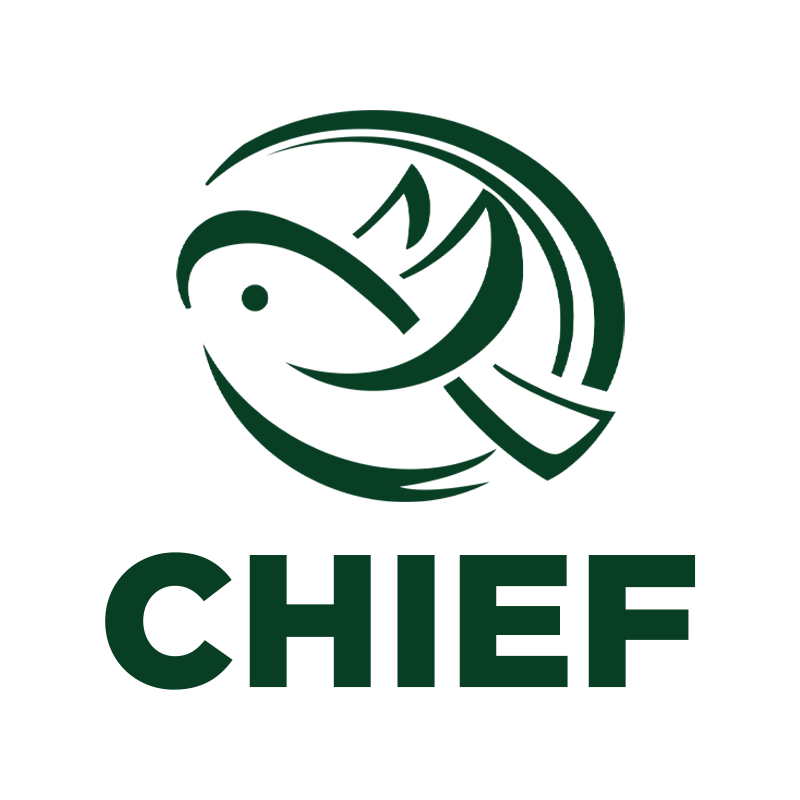 CHIEF启啡